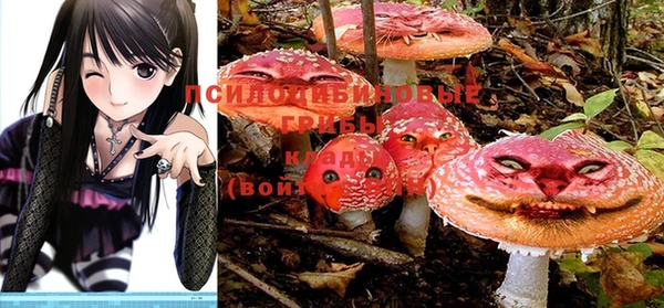 амф Михайловск
